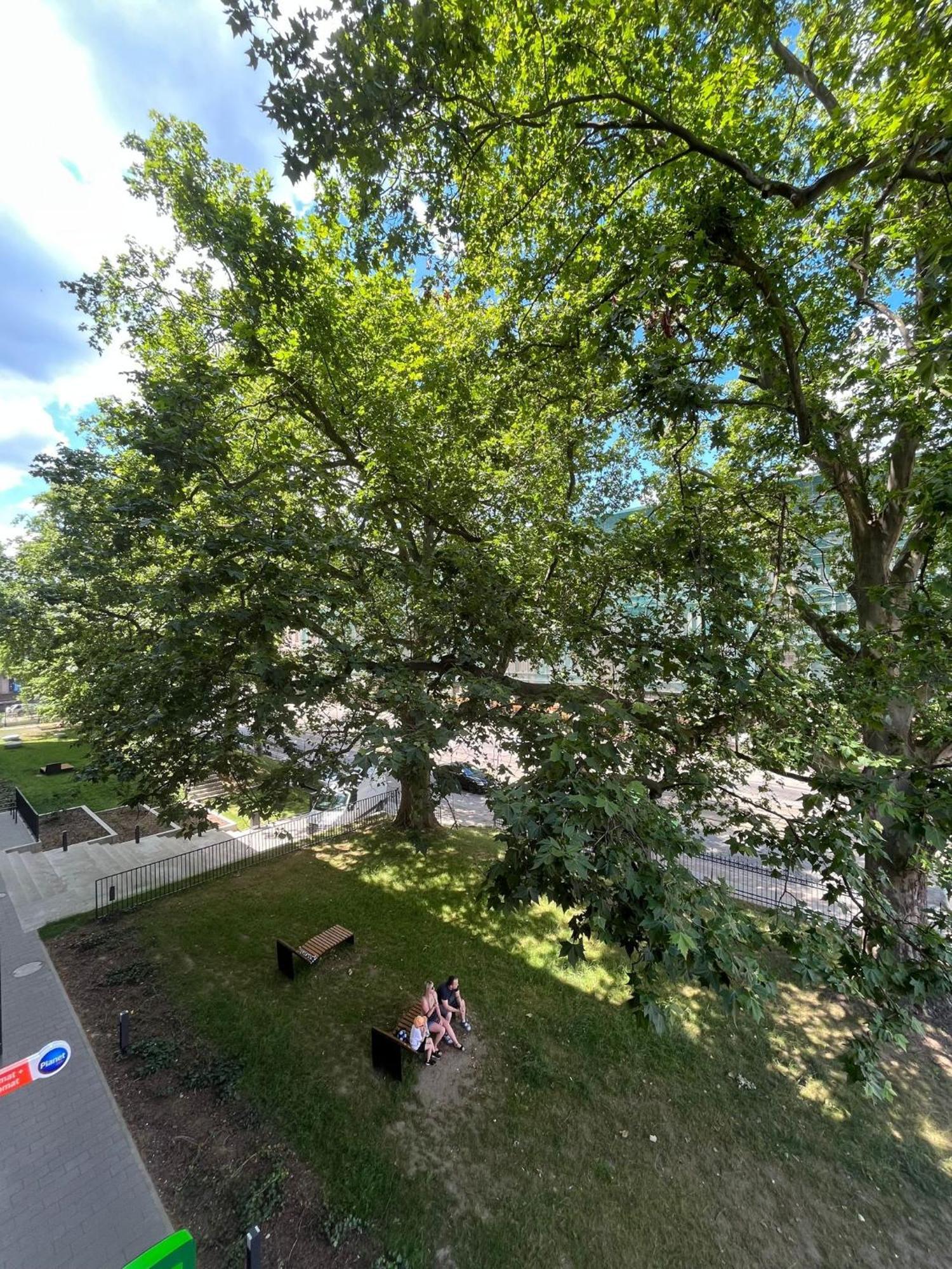 Komfort Z Balkonem W Centrum
